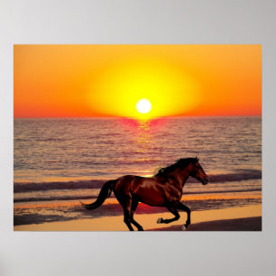 Póster Caballo en la puesta del sol
