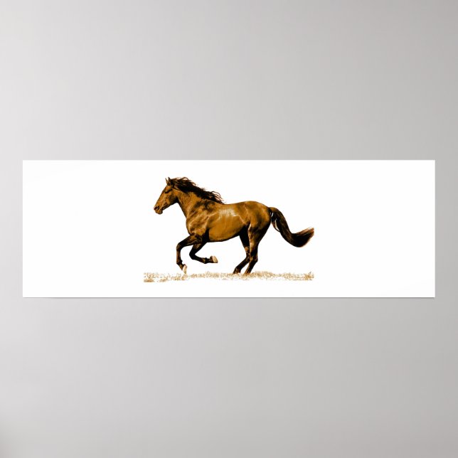 Póster Caballo en marcha (Frente)