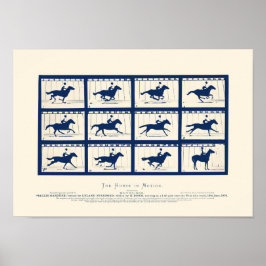 Póster Caballo En Movimiento - Sallie Gardner En Una Gall