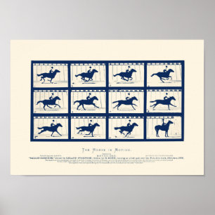 Póster Caballo En Movimiento - Sallie Gardner En Una Gall