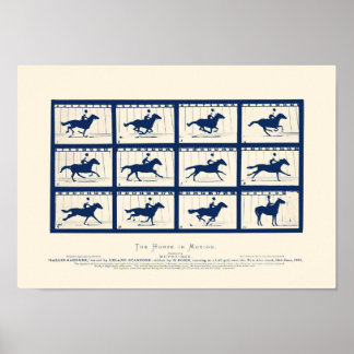 Póster Caballo En Movimiento - Sallie Gardner En Una Gall