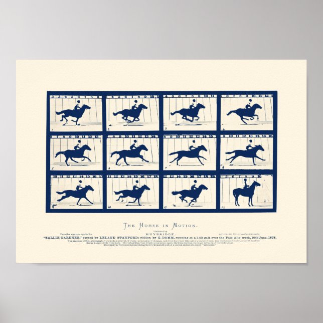 Póster Caballo En Movimiento - Sallie Gardner En Una Gall (Frente)