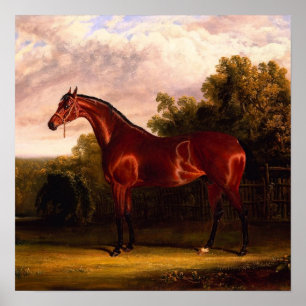Póster Caballo En Un Paisaje