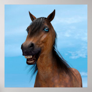 Póster Caballo Feliz