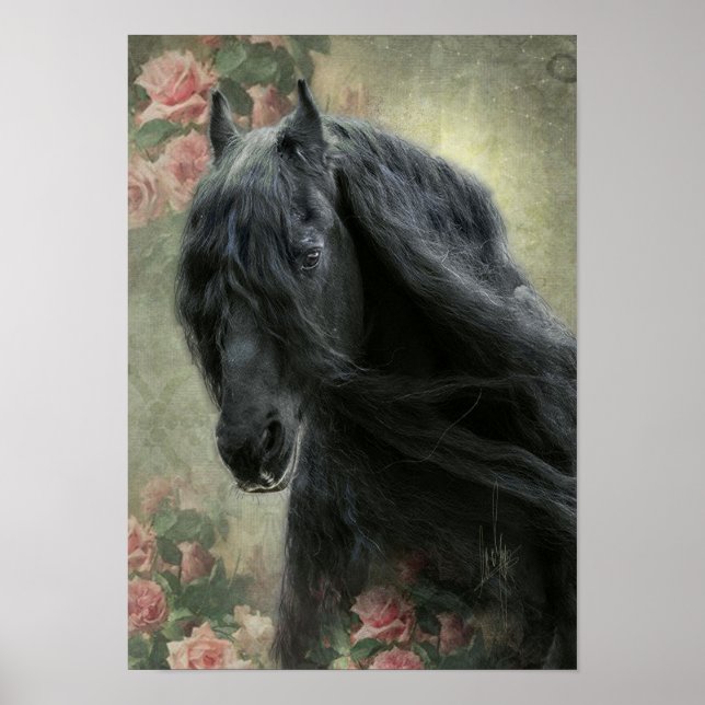 Póster Caballo Friesiano de Belleza Negra - Poster (Frente)