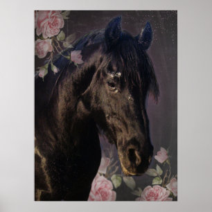 Póster Caballo Friesiano de Belleza Negra - Poster