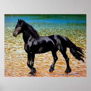 Póster Caballo frisón en el lago