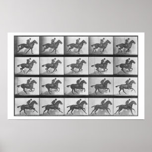 Póster Caballo galopante, placa 628 de "Locomoción animal