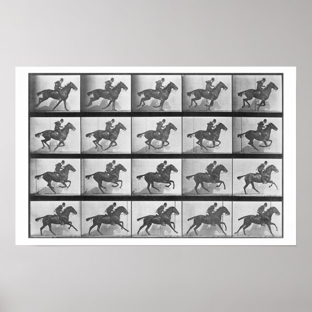 Póster Caballo galopante, placa 628 de "Locomoción animal (Frente)