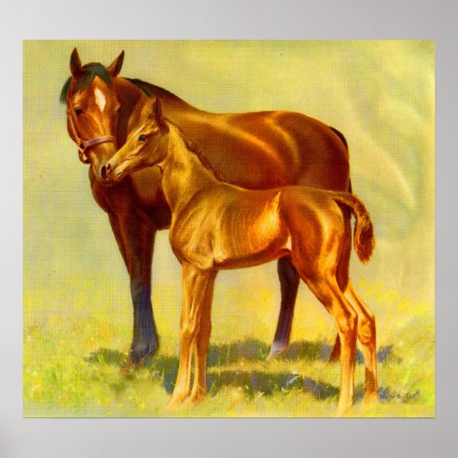 Póster caballo grande pequeño caballo (Frente)