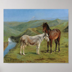 Póster Caballo gris claro en un campo (animal de granja e