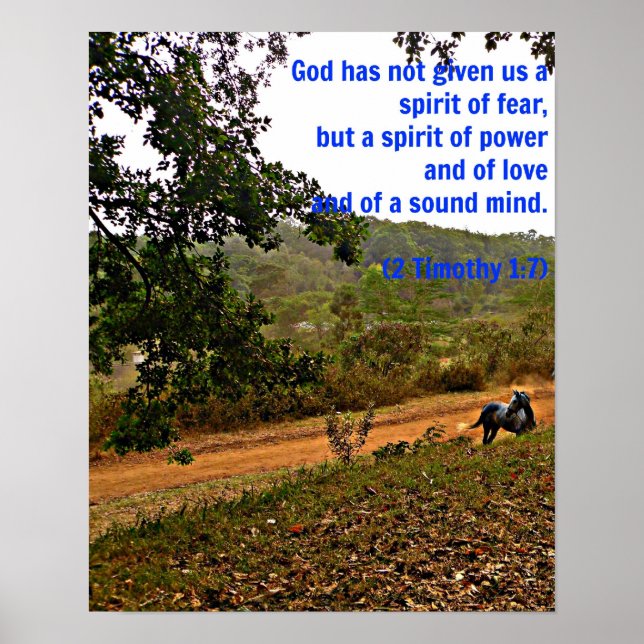 Póster Caballo gris inspirador Timothy Bible Verso Dios (Frente)