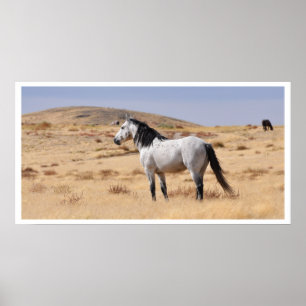 Póster Caballo gris salvaje, Utah