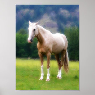 Póster Caballo ideal del Palomino