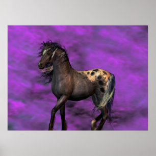 Póster Caballo Indio