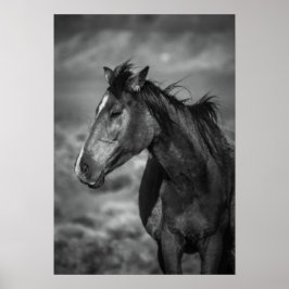 Póster caballo madre