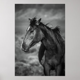 Póster caballo madre