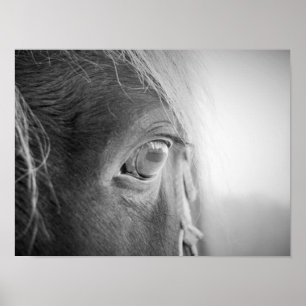 Póster Caballo mágico blanco y negro