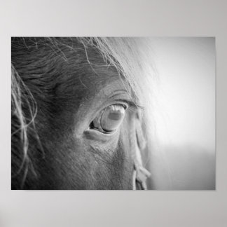 Póster Caballo mágico blanco y negro