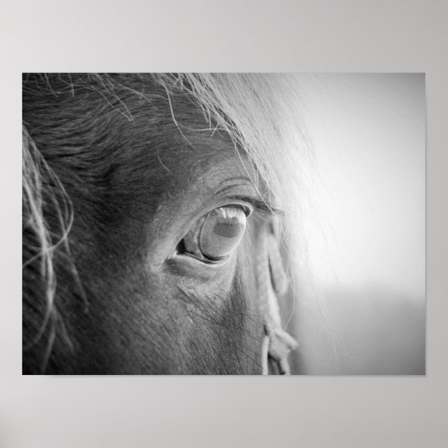 Póster Caballo mágico blanco y negro (Frente)