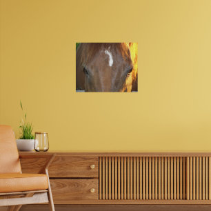 Póster Caballo marrón con marca blanca en la cara fotográ