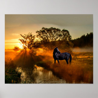 Póster Caballo negro al amanecer o al atardecer