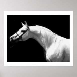 Póster Caballo Negro & Blanco