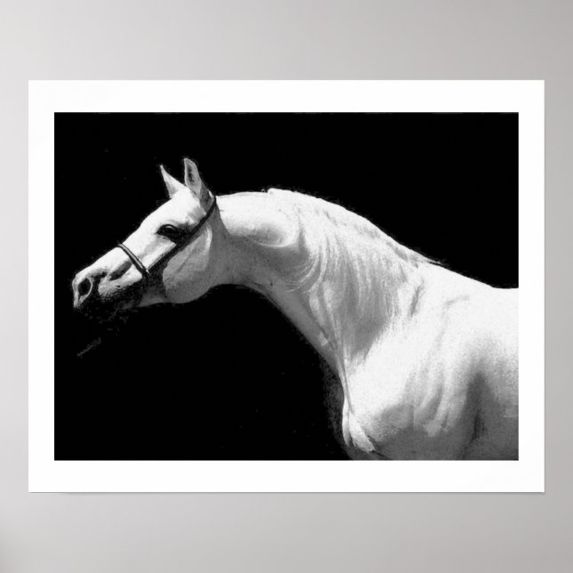 Póster Caballo Negro & Blanco (Frente)