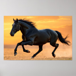 Póster Caballo Negro Corriendo