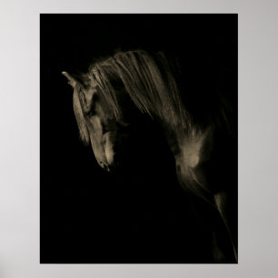 Póster Caballo negro de Sepia