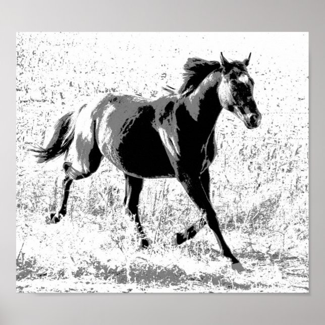 Póster Caballo negro yearling (Frente)