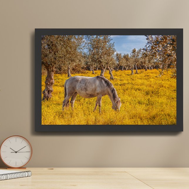 Póster Caballo pastando en una pradera de flores amarilla (Subido por el creador)