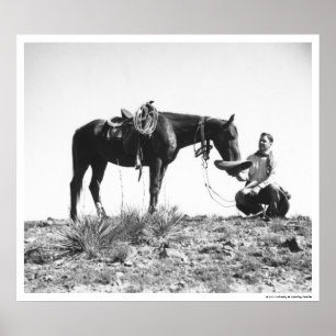 Póster Caballo que come de un sombrero de vaquero