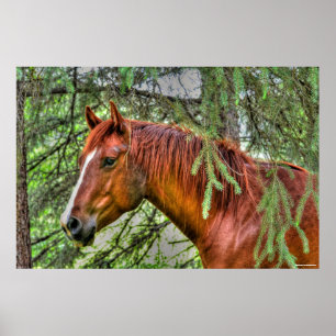 Póster Caballo rojo Dun Mare en una foto ecuestre
