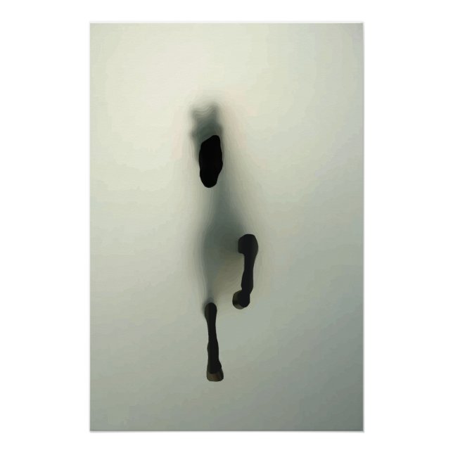 Póster Caballo Rompiendo a Través de la Niebla (Anverso)