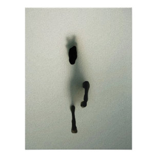 Póster Caballo Rompiendo a Través de la Niebla - Arte Abs