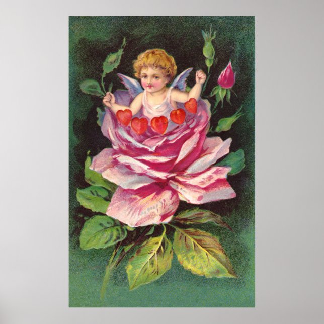 Póster Caballo: Rosa de Cherub flor (Frente)
