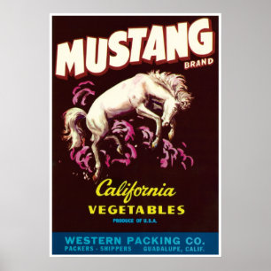 Póster Caballo salvaje de Mustang Guadalupe Verduras de C