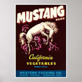 Póster Caballo salvaje de Mustang Guadalupe Verduras de C