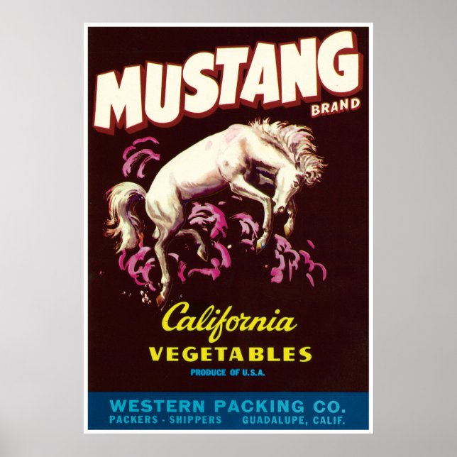 Póster Caballo salvaje de Mustang Guadalupe Verduras de C (Frente)