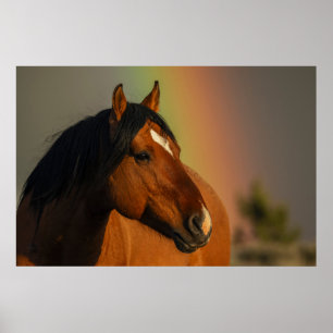 Póster Caballo salvaje, Luz dorada y Arcoíris