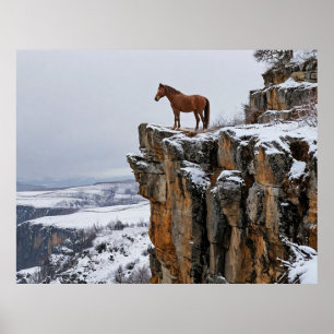 Póster Caballo solitario en un acantilado cubierto de nie