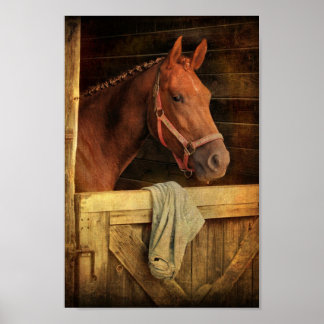 Póster Caballo tostado