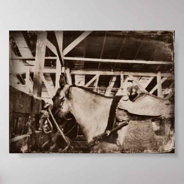 Póster Caballo Vintage (Frente)