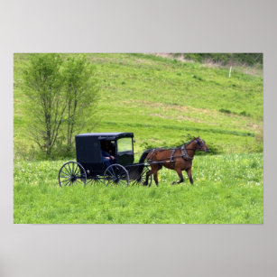 Póster Caballo y buggy Amish cerca de Berlín, Ohio.