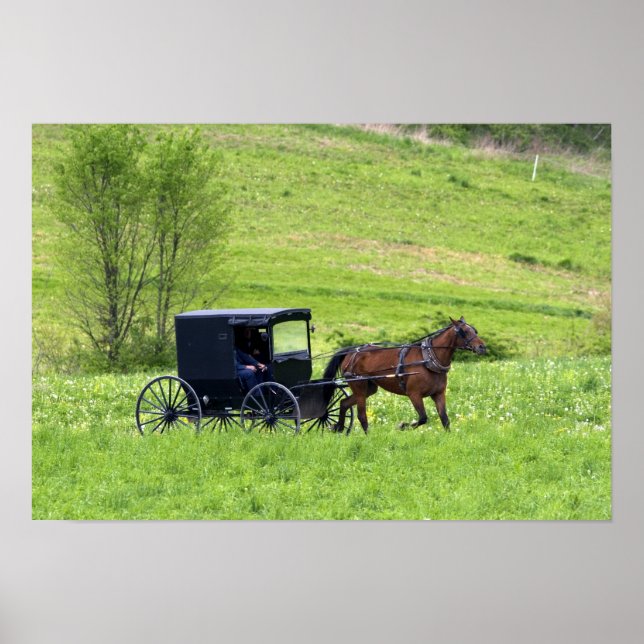 Póster Caballo y buggy Amish cerca de Berlín, Ohio. (Frente)