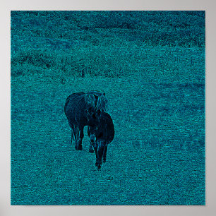 Póster Caballo y burro