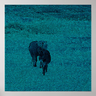 Póster Caballo y burro