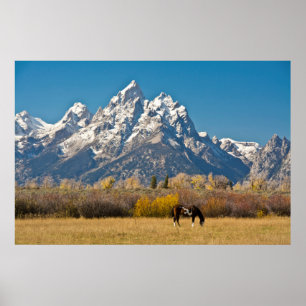 Póster Caballo y grandes tetones, Rancho de Cabeza de Oso