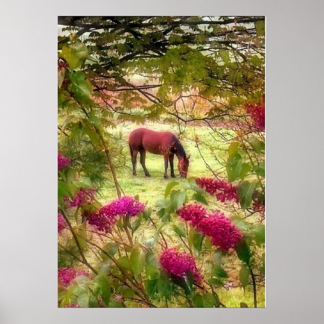 Póster Caballo y Lilacs (Frente)